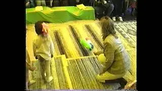 cirkus elefant solskenet
