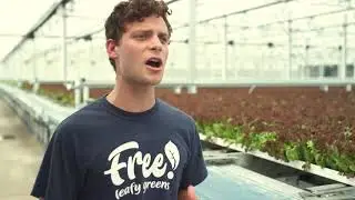 Free Leafy Greens Hands-Free Cultivation