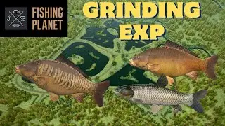 Grinding Exp di Weeping Willow - Fishing Planet Mobile