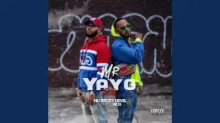 Mr. Yayo 2.0