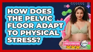 How Does The Pelvic Floor Adapt To Physical Stress? - Fertility Fitness Pro