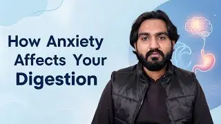 How Anxiety Affects Your Digestion (Gut&ndash;Mind Connection)