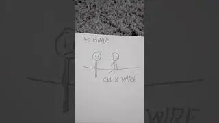 Two Birds...