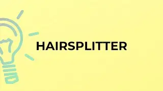 What is the meaning of the word HAIRSPLITTER?