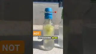 Croatian Drink Changes Color with a Twist!