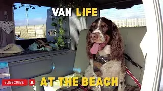 Van Life | Let's go to Southwick Beach and Carats Caf&eacute;  #campervanlife #springerspaniel #beachday
