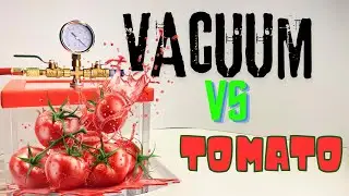 Vacuum Chamber vs Tomato  | Crazy Experiment