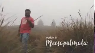 Walking in Meesapulimala