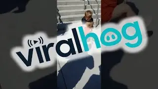 Baby Sister is Overjoyed When She See's Brother After School || ViralHog