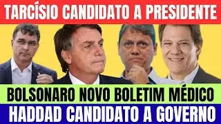 TARC&Iacute;SIO N&Atilde;O DESISTIU DE SER CANDIDATO A PRESIDENTE; FERNANDO HADDAD VAI DISPUTAR O GOVERNO DE SP