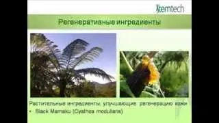 О косметике DermaStem компании StemTech
