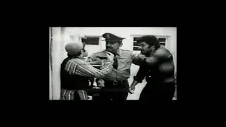 خورشید شب
