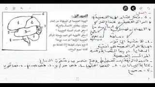 تمرين جيد خاص بالجملة العصبيىة ( شقوق و فصوص الدماغ)