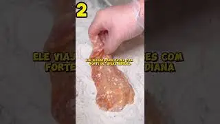 Voc&ecirc; S&oacute; Come Estes 3 Itens do McDonald's Se Viajar Para OUTRO PA&Iacute;S ✈️🍟