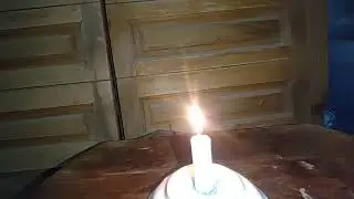 Funny Cat Videos 2025 Funniest cats | Funny videos | Cute cat videos | funny kitten