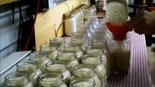 Food Storage: Rice, In Mason Jars