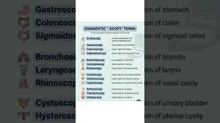 Diagnostic &ldquo;-scopy&rdquo; terms are explained in a simple and easy way.