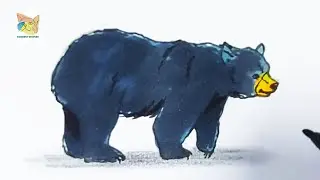 comment dessiner un ours &eacute;tape par &eacute;tape facilement