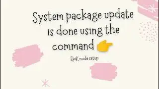 EpiK Protoco: Node setup - System Package Update