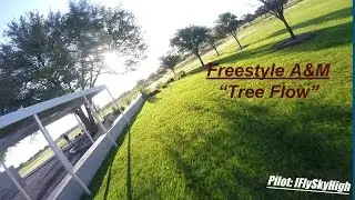 Freestyle A&M 