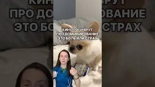 💡 Получи уроки и гайды от ветврача без обмана и мифов - ссылка в инфо профиля - доступ свободный