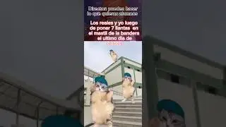 Cat Dance Girlfriend
