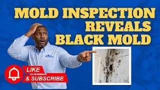 Mold Inspection Reveals Black Mold | Columbus, Ohio Mold Inspection
