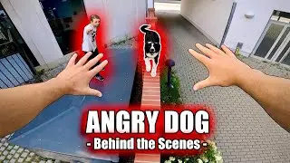 Escaping Angry Dog Parkour - Behind the scenes | Insta360 GO 2