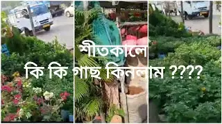 এবছর শীতকালে কি কি গাছ কিনলাম ????@sancharibhattcharya4890