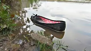 The lost shoe