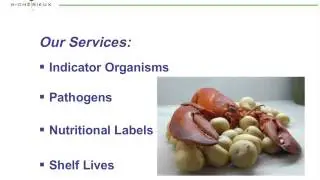 Lean Laboratory Assessment  - A Case Study