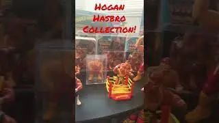 Hulk Hogan Hasbro Collection!! #hulkhogan #wwf #wwe #majorwrestlingfigurepodcast
