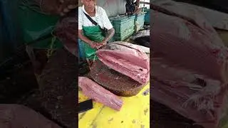 Teknik fillet tuna besar by uncle fredy