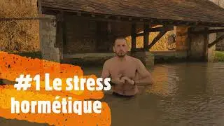 #1 Le stress hormétique