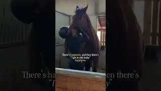 Every day, I dream of more saddle time