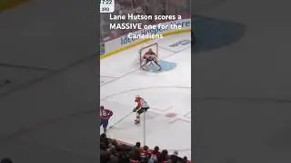Lane Hutson is an ESSENTIAL player! #nhl #hockey #goals #highlights #highlightreel #nhlhighlight