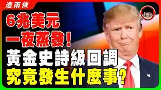 【突發】黃金閃崩！1小时暴跌500美元！白银暴跌超8%！華爾街大佬繼續看漲，你選擇抄底還是逃頂？現在是最後上車機會？黃金白银閃崩真相！#黃金 #金價 #2026財經 #造雨俠 #投資 #川普 #聯準會