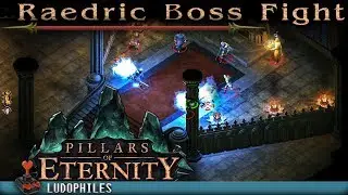 Pillars of Eternity - Raedric Boss Fight