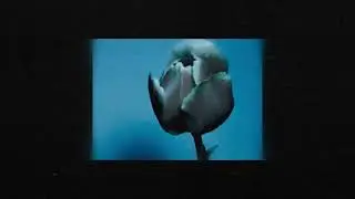 N&oslash;rus - Innature, Part V