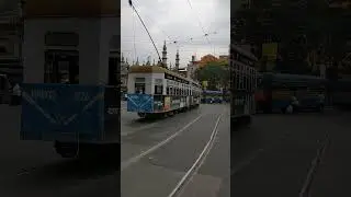 Tram in Kolkata! Few locations in India still to have Tram service 🥳✨#kolkata