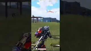 Dual AWM 😈
