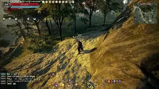 BDO Console | Gm Event