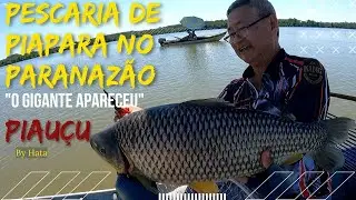 PESCARIA DE PIAU, PIAPARA E PIAUÇU NO RIO PARANÁ, PIAUÇU GIGANTE RESOLVEU APARECER