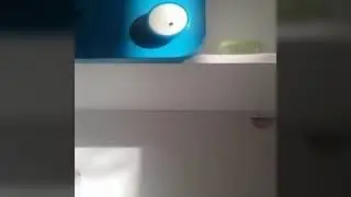 Pokemon steam sıege a&ccedil;ılımı (&times;2)  :Ex kartlar ve bozuk deste