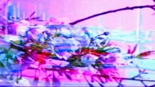 BIG MUFF RADIO - Suspicious Vehicle (Music Visualizer) {DSFJ} @darksidefamilyjams