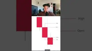 Day Trading Bootcamp Day 2: Candlesticks #selfimprovement #inspiration #lockedin #daytrader
