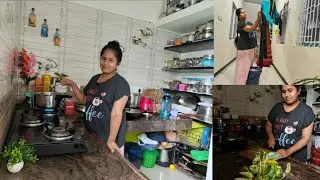 Casual routine vlog | money plant growing tips  | appam recipie | moms routine @ModernTamilachi