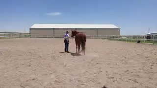 NAWD Spring Fever - Kerry-Louise Boucher & CR Sweet Surrender - 6Ft Foundation Test 2