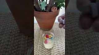 Wickless Fruit Loop Candle