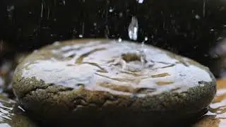 Gentle Raindrops Creating Pure Calm | Object Rain ASMR